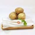 Factory Direct Sale Sweet Potato Vermicelli For Low Temperature Storage